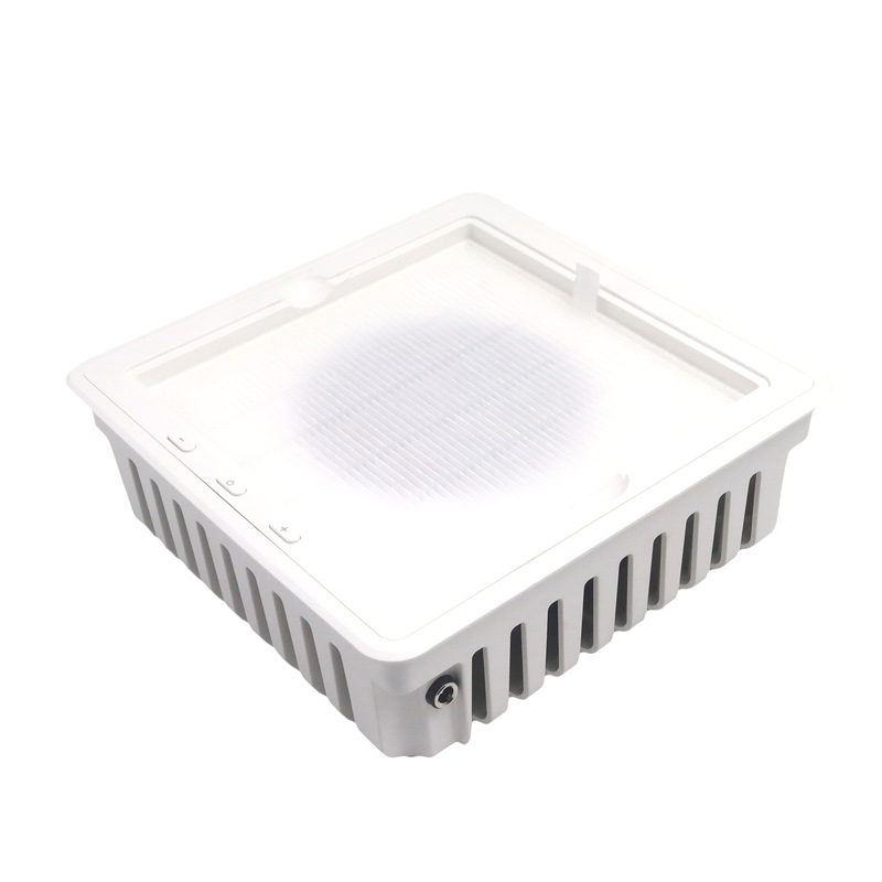 Ƙwararrun ƙirwar ƙusa